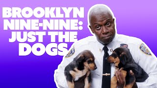 Brooklyn NineNine: Just the Dogs | Comedy Bites