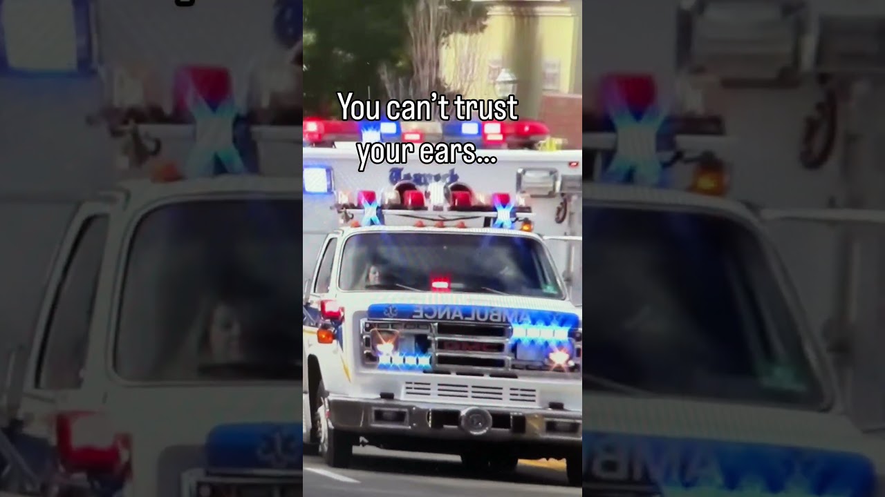 Nothing is as it seems&hellip;#borzoi #doglife #siren #howl #mystery #dogs #pets