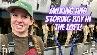 видео: Доим коров и укладываем сено на чердак! картинка: Доим коров и укладываем сено на чердак!