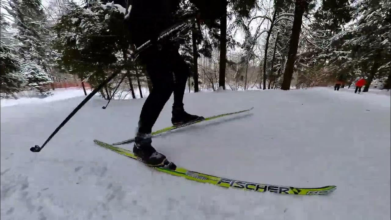 мещерский парк лыжня