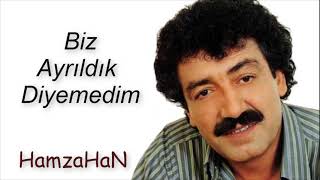 Biz Ayrıldık Diyemedim Resimi