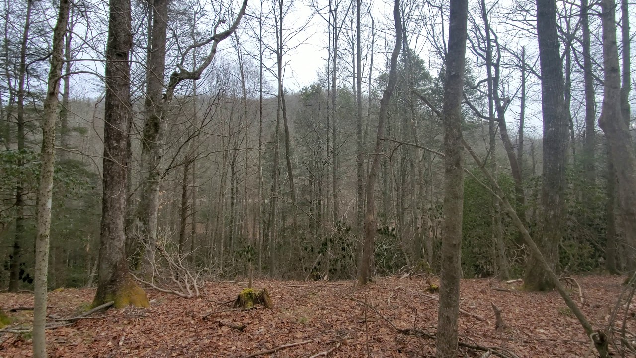 North Carolina Land For Sale 3 Acres with a Stream YouTube