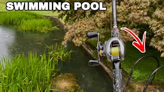 Fishing In OLD ABANDONED SWIMMING POOL (so many fish)