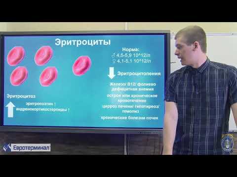 Клиническая лабораторная диагностика. Лекция 2