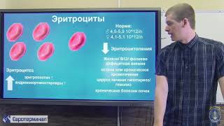 Клиническая лабораторная диагностика. Лекция 2