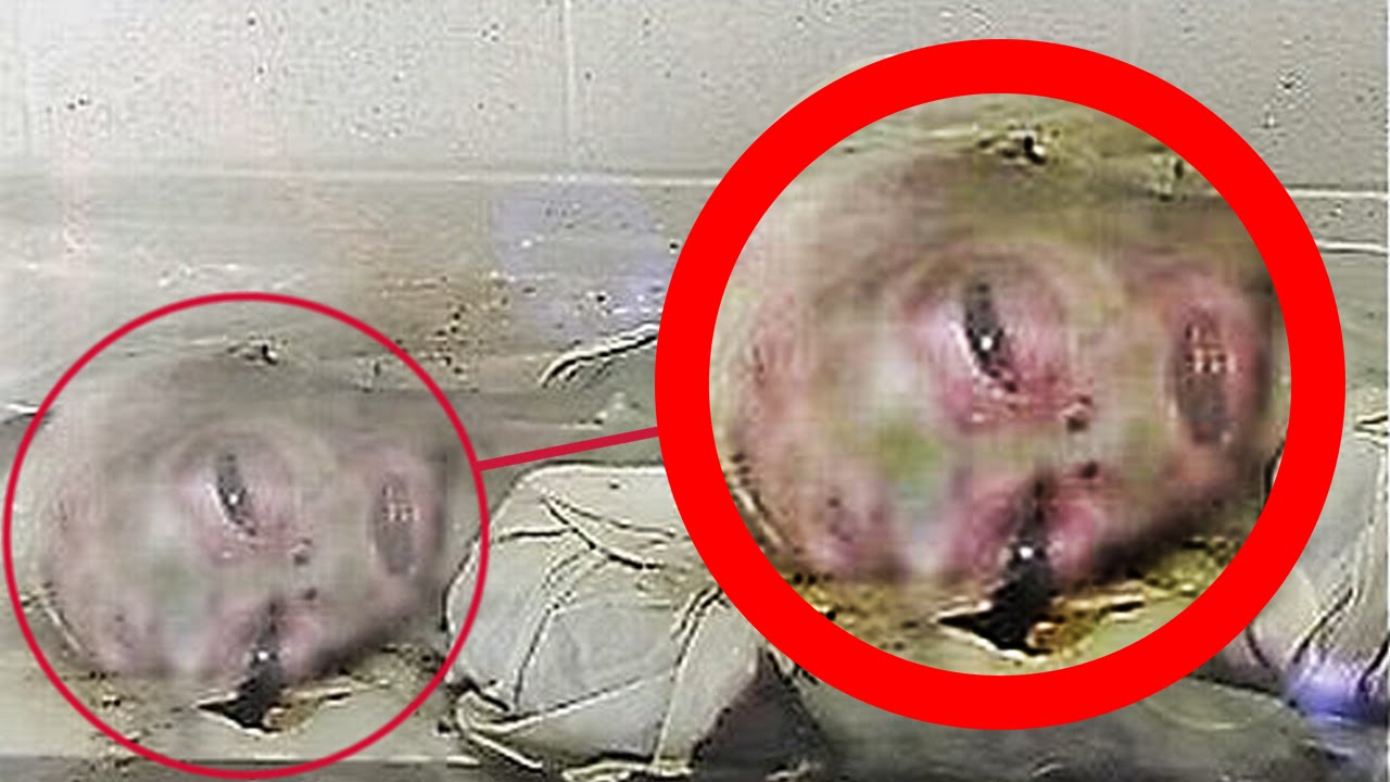 10 Creepy Facts About Area 51