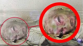 10 Creepy Facts About Area 51
