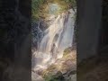 Una palabra de fé para cada dia- Isaías 41:10