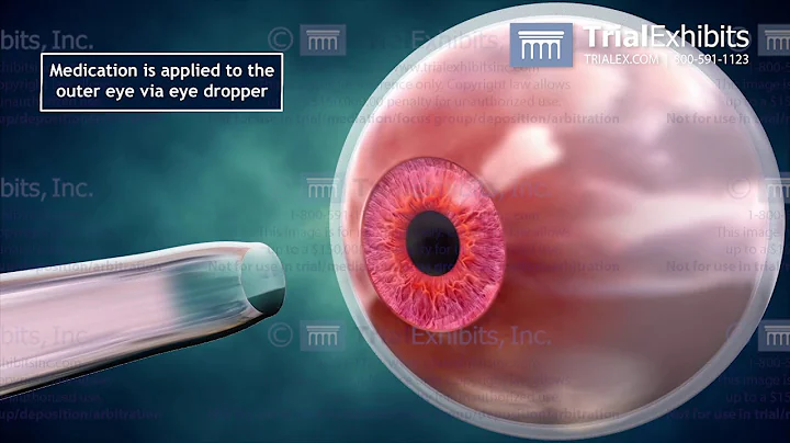 Seeing is Believing - Making Eye Anatomy Understandable - DayDayNews