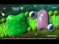 Photosynthesis  light reaction calvin cycle electron transport 3d animation