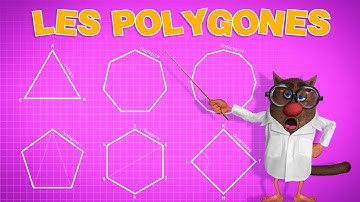 Foufou - Le Nom Des Polygones pour les Enfants (Learn The Name Of Polygons For Kids) 4K