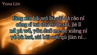 Bu Zai Da Rao 不再打扰 (Tidak Mengganggu Lagi) Guo Li 郭力 Lyrics