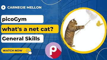 picoGym (picoCTF) Exercise: what