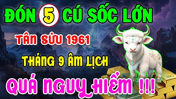 TÂN SỬU 1961: Đối mặt với 5 CÚ SỐC LỚN, Trong Tháng 9 Âm Lịch - NGUY HIỂM CẬN KỀ!