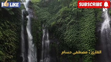 تلاوة خاشعة و هادئة لأواخر سورة هود للشيخ مصطفى حسام 