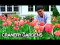 April garden tour 2024