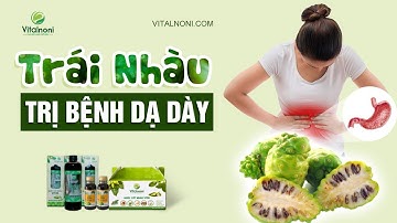 TRÁI NHÀU trị bệnh Dạ Dày, Trào Ngược dạ dày! | Vitalnoni.com