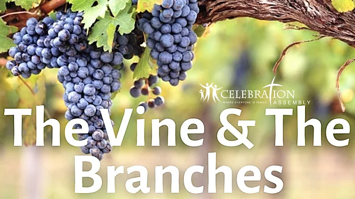 The Vine & The Branches | Pastor Bill Everling | C...