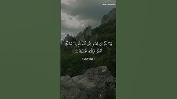 وما بكم من نعمة فمن الله، تلاوة خاشعة عذبة من سورة النحل، القارئ مصطفى جيد