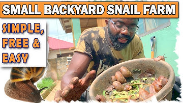 Start A Simple Backyard Snail Farm | A Cheap, Simple And Easy Step-By-Step Guide
