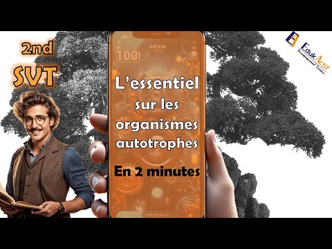 L'essentiel en 2 minutes sur les organismes autotrophes. | SECONDE | SVT | #svt   #autotrophs