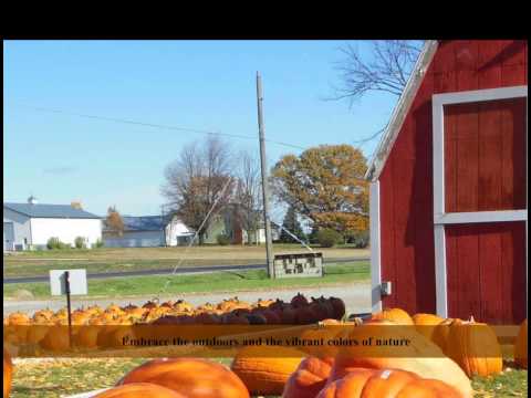 martha-stewart-fall-wedding-ideas-|-fall-wedding-ideas-|-unique-fall-wedding-ideas-|-rustic-|-simple