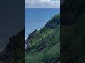 Kilauea Point National Wildlife Refuge Full Video Of Day 2 On Kauai Coming Soon