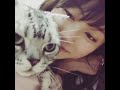 yokoyama yui