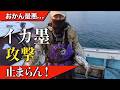 おかん大被害…イカ墨攻撃が止まらん！でも大漁やった