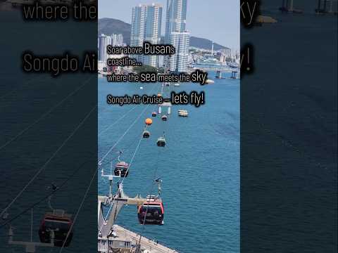 Flying Above Busan! 🇰🇷 Songdo Cable Car Adventure | Glass-Bottom Cabin + Ocean View #southkorea