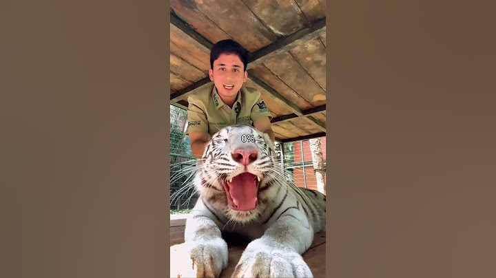 SELEN JADI HARIMAU SESUNGGUHNYA KALO SAMA TEONA😭 #shortvideo #animals