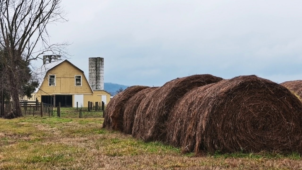 Protect Your Hay Investment Hay Bale Storage Tips Youtube