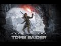 Rise Of The Tomb Raider, Mac Mini M4: In-Game Benchmark
