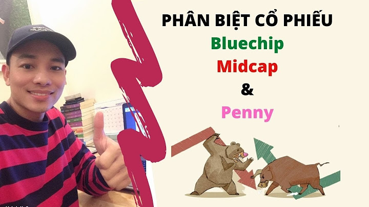 Cổ phiếu blue chip bao nhiêu thì chốt lời năm 2024