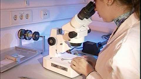 Microelectrode Rubber drive assembly