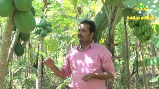 Palekar 5 Layers method cultivation by Ellareddy - Natural Farming-9959742741