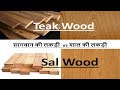 Teak vs Sal Wood - Difference Explained - कौन सी Wood सबसे अच्छी है ?