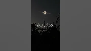 و أ ف و ض أ م ر ي إ ل ى الل ه قرآن كريم حالات واتس اب 