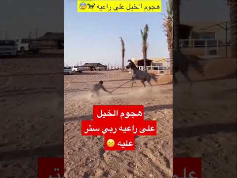 هجوم الخيل على راعيه