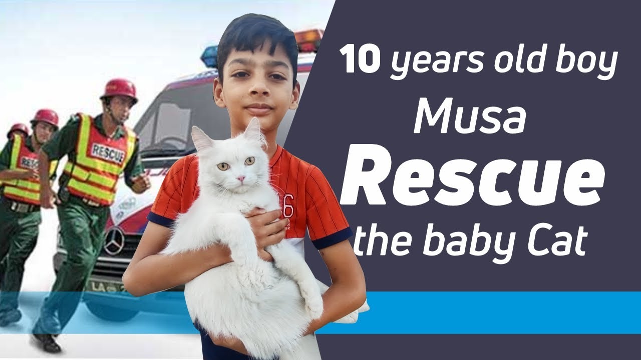 10 years old boy Rescue the baby Cat - YouTube