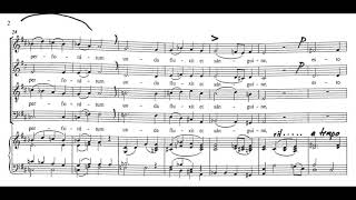 Ave verum corpus (Mozart) - TENOR practice