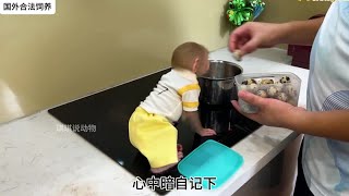 小猴子满心欢喜迎接爸爸回家，爸爸为它煮了鸡蛋，真的是太可爱了