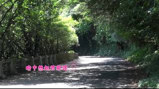 Video thumbnail of "台灣ㄟ老歌《送君情淚》陳芬蘭 演唱"