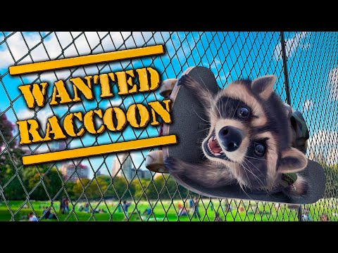 Первый Взгляд на Wanted Raccoon!!! Прохождение часть 1