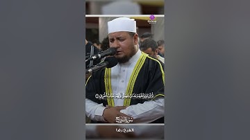 خشوع مؤثر | ما تيسر من سورة البروج – الشيخ رضا سعد #القرآن_الكريم #سورة_البروج #رضا_سعد #تلاوة_خاشعة