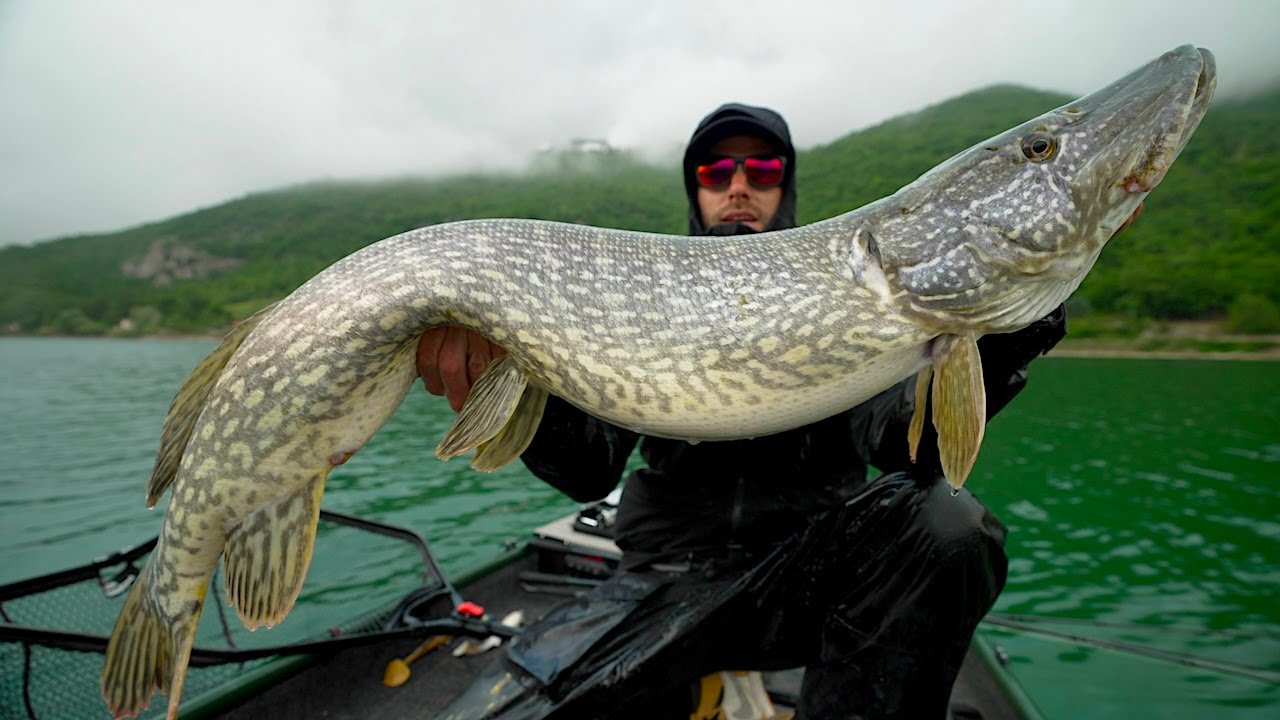 HO ESAGERATO! Pesca ai LUCCI GIGANTI del centro Italia