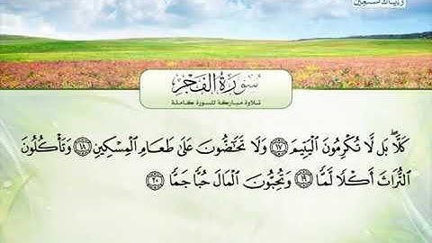سورة الفجر مكتوبة   محمود المالكى