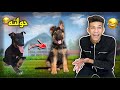 صبغت الكلب البلدي و بعته جيرمن الغلابه 