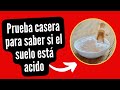 😮👉Prueba casera con bicarbonato para saber si el suelo está ácido.