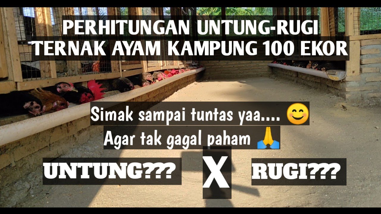 WAJIB TAHU PERHITUNGAN MODAL DAN UNTUNGRUGI TERNAK 100 WAJIB TAHU PERHITUNGAN MODAL DAN UNTUNGRUGI TERNAK 100